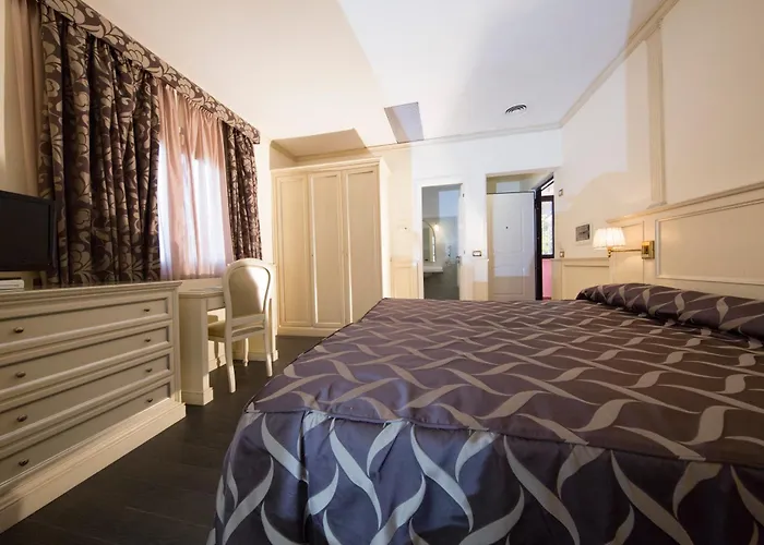 Отель Mancini Park 4*