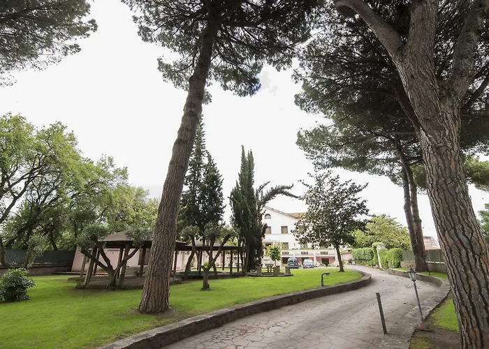 Отель Mancini Park