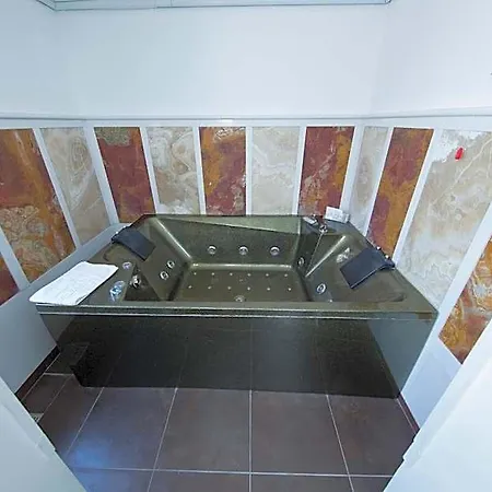 Отель Mancini Park 4*