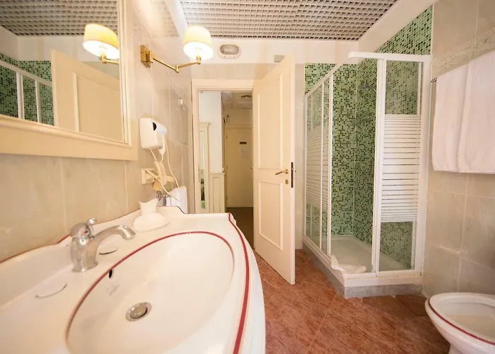 Hotel Mancini Park 4*